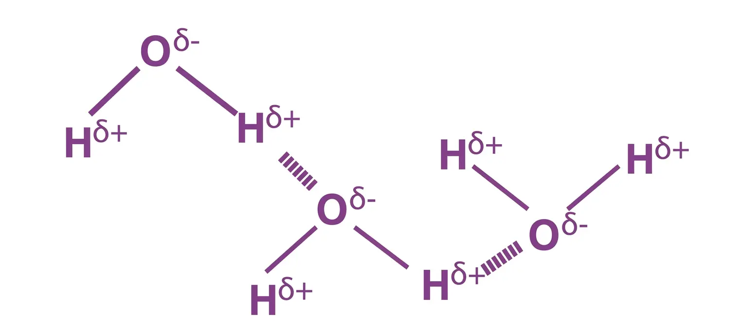 Water (H₂O) Hydrogen Bond Network — Intermolecular