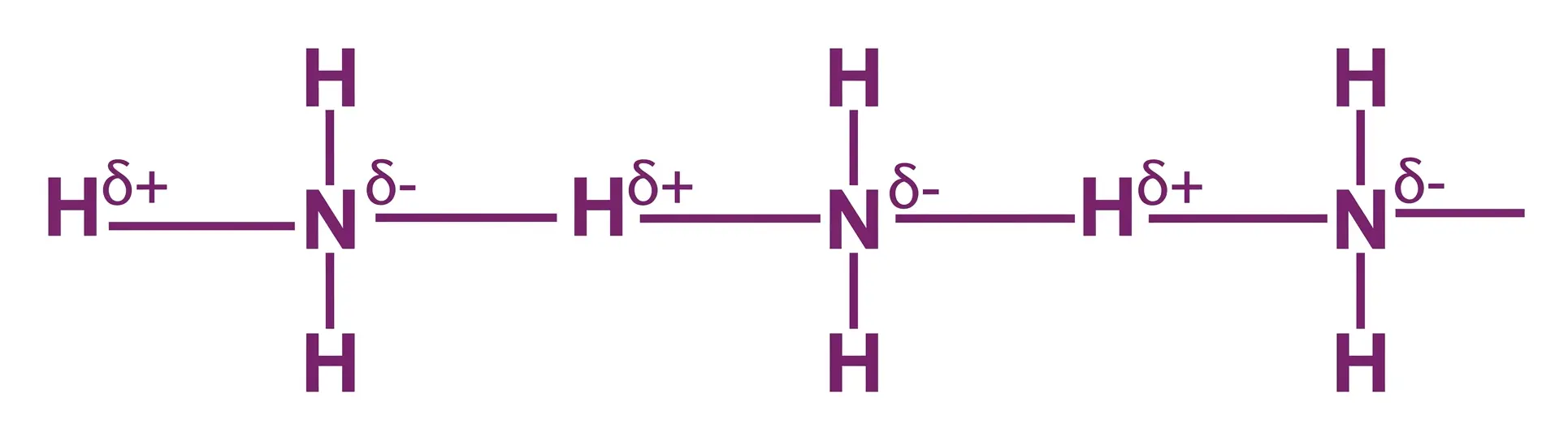 Ammonia (NH₃) — Intermolecular Hydrogen Bonding