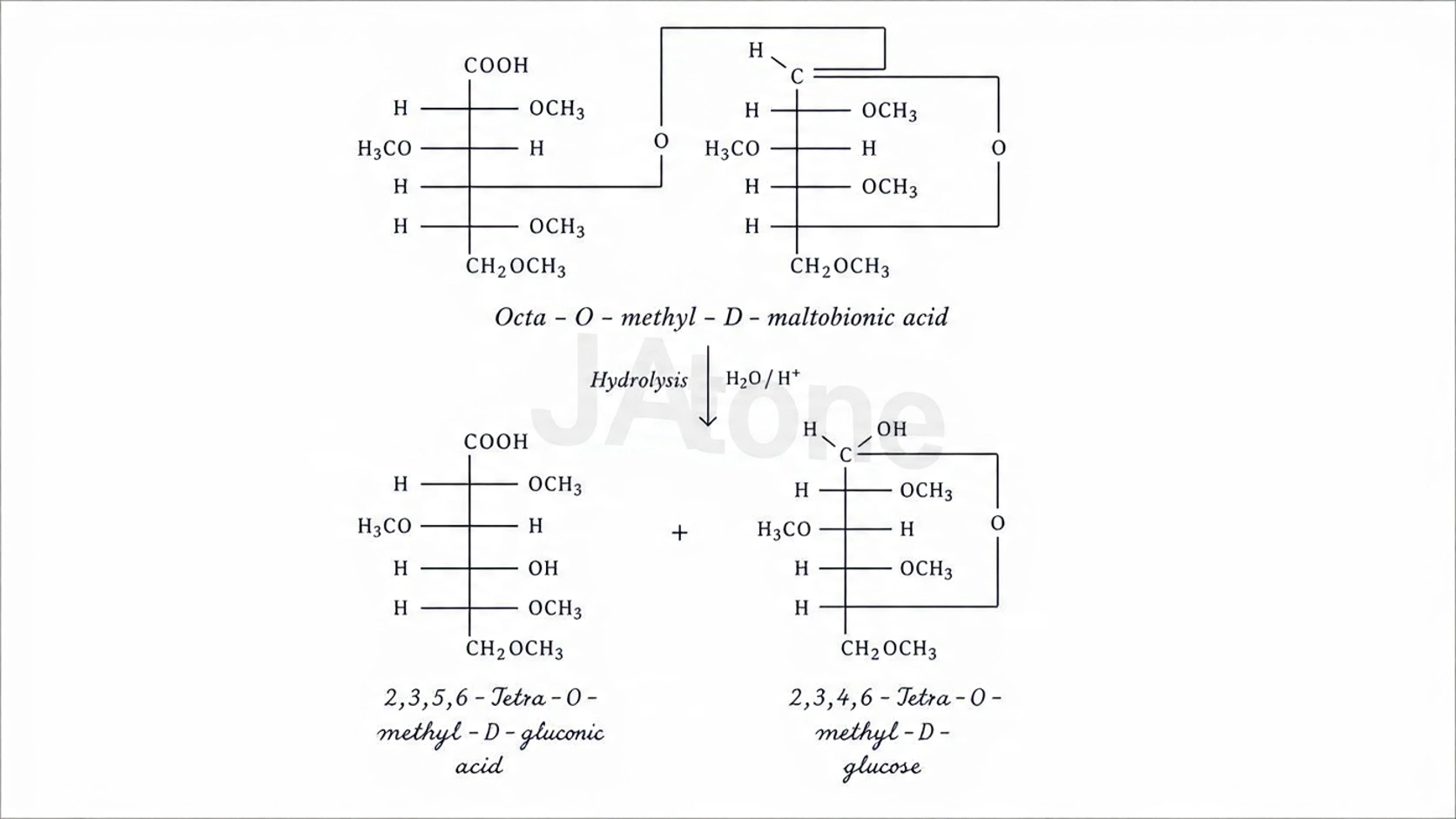 α-D-Glucose — product of maltose hydrolysis