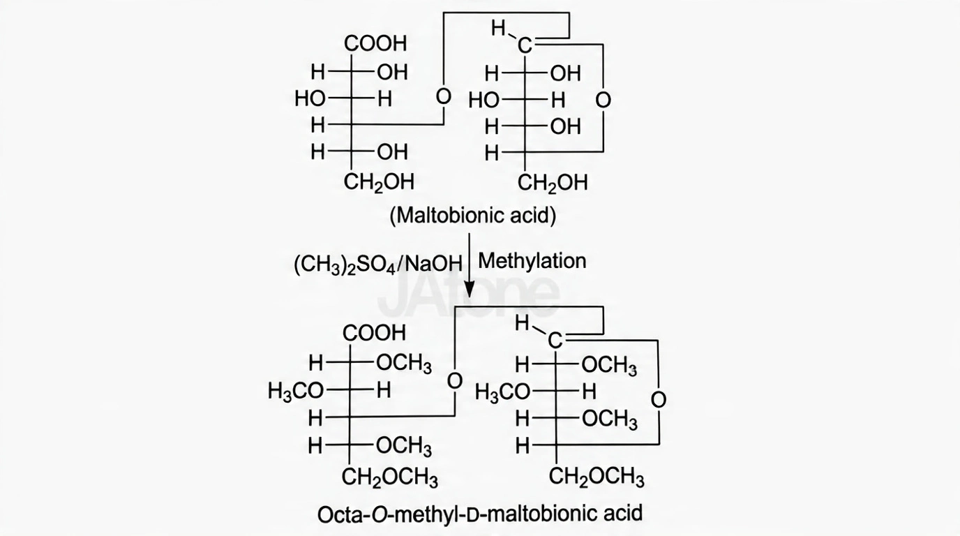 2,3,6-Tri-O-methyl-α-D-glucose — from reducing end